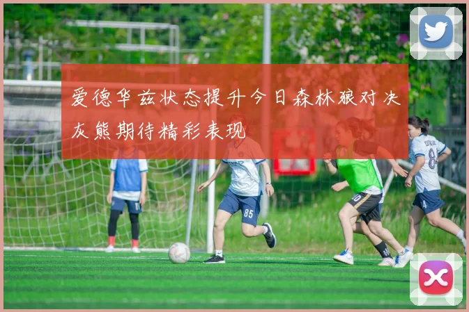 爱德华兹状态提升今日森林狼对决灰熊期待精彩表现