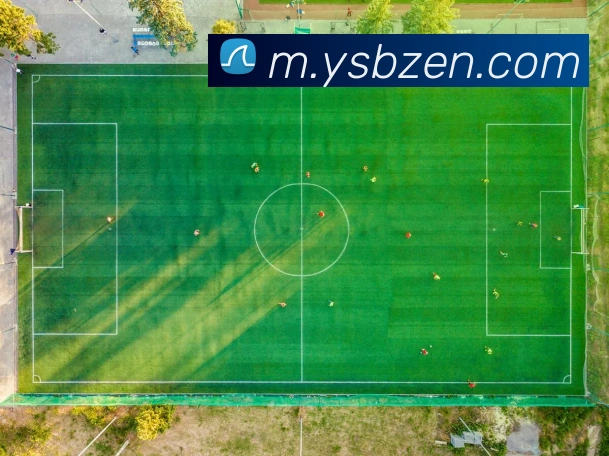 易胜博平台生态图